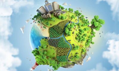 Cos'è l'Ambiente Biofisico: Definizione e Significato