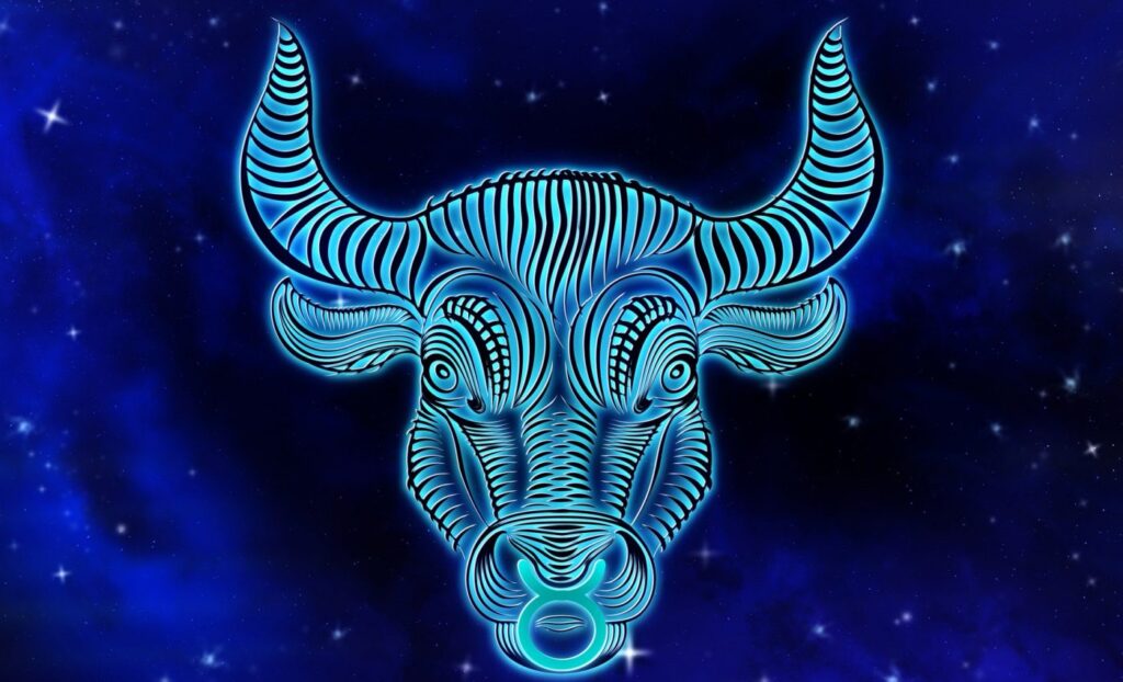 Toro