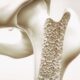 L'Osteosclerosi: Significato, cause e sintomi