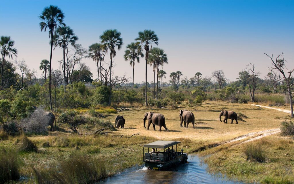 Il Delta dell'Okavango, Botswana