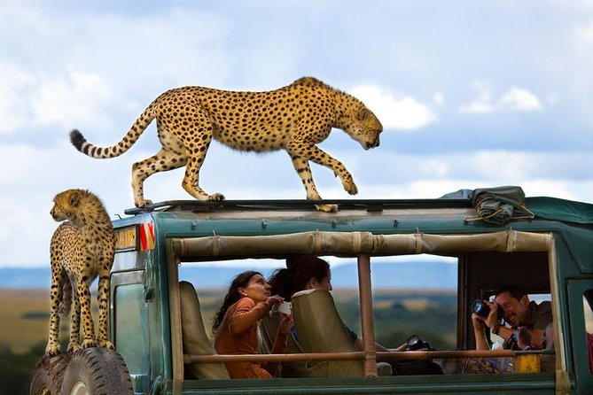 La Riserva di Masai Mara, Kenya