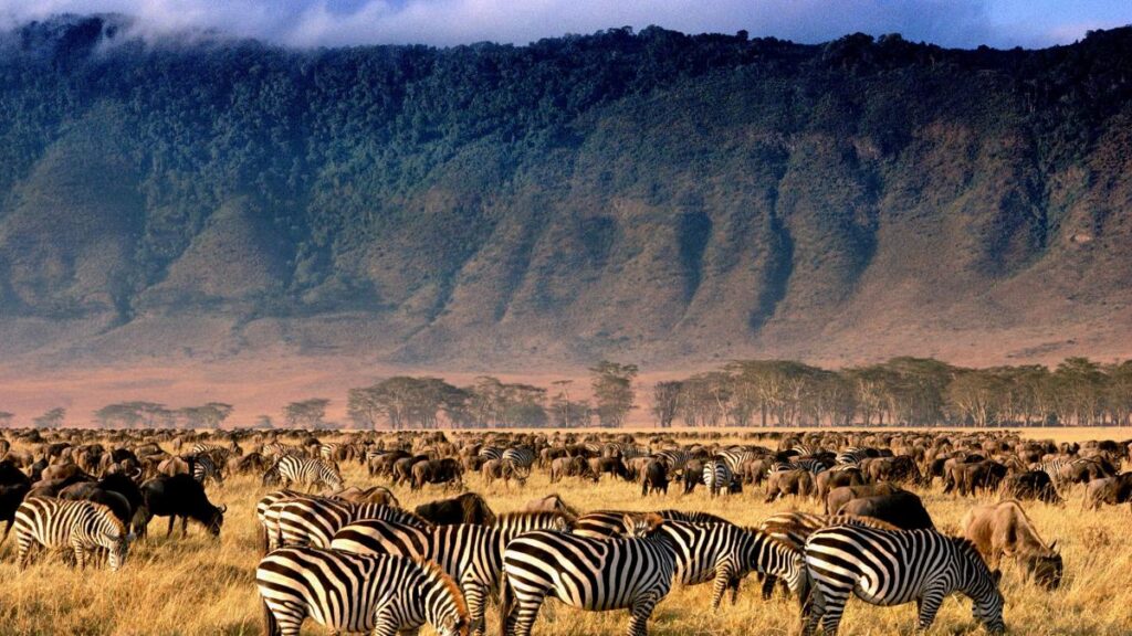 La Riserva di Ngorongoro, Tanzania