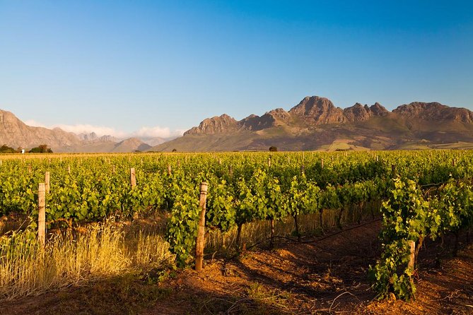 Stellenbosch: Vini e paesaggi