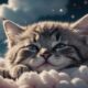 Cosa significa sognare gattini: Interpretazione dei sogni